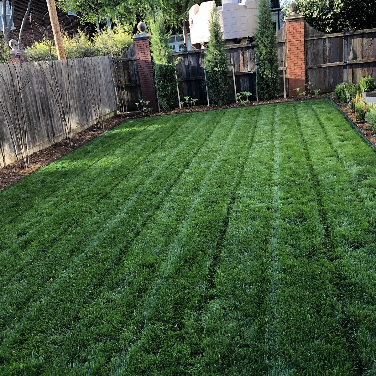 Spohn's Lawn worker using a backpack blower across a freshly mowed backyard.