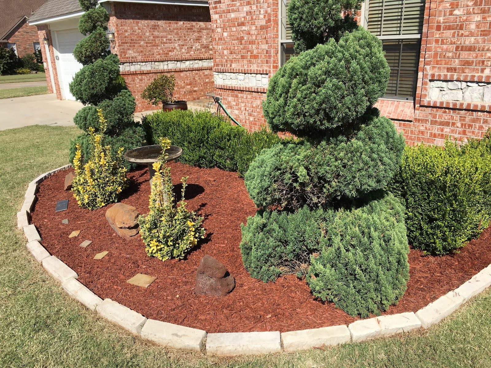 Freshly mowed lawn with visible stripes beside a fence and planted border.
